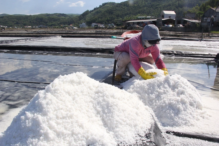 Redonner vie aux marais salants de Sa Huynh: préserver un artisanat centenaire et ouvrir la voie au tourisme